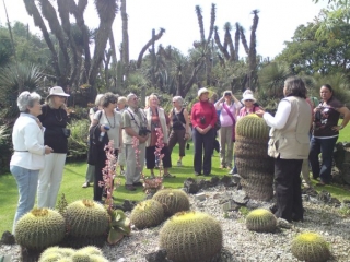  UNAM botanical garden 